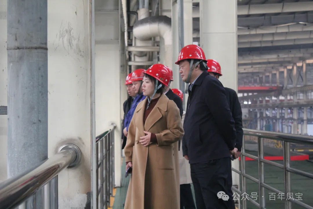 陈佳到华体会在线平台(中国)官网调研