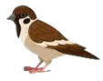 33.png 33.png